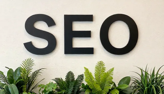 SEO优化服务应对流量下降问题，提升网站可见性